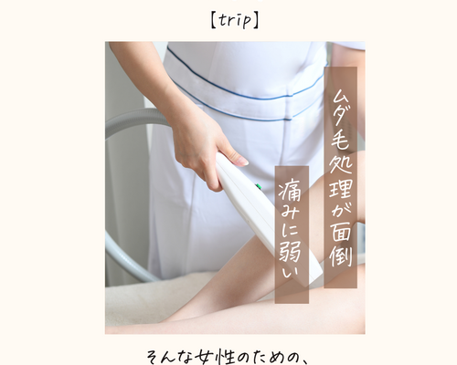 メタ広告②202512